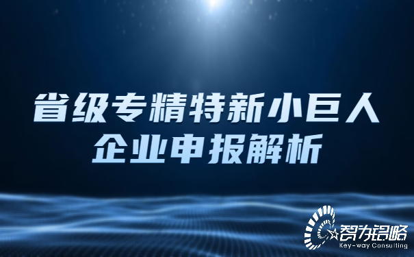 省級專精特新小巨人企業申報解析.jpg