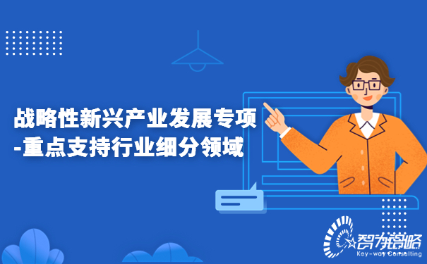 戰(zhàn)略性新興產業(yè)發(fā)展專項-重點支持行業(yè)細分領域.jpg