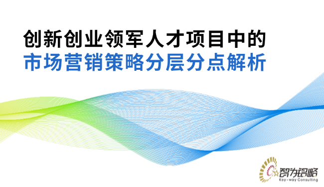 創(chuàng)新創(chuàng)業(yè)領(lǐng)軍人才項目中的市場營銷策略分層分點解析.png