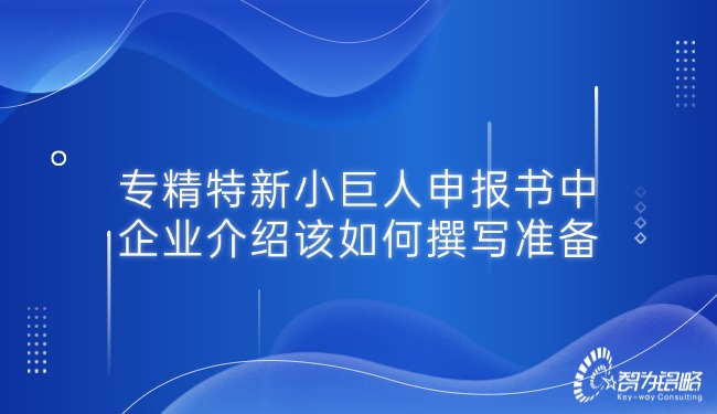 專精特新小巨人申報書中的企業介紹該如何撰寫準備.jpg